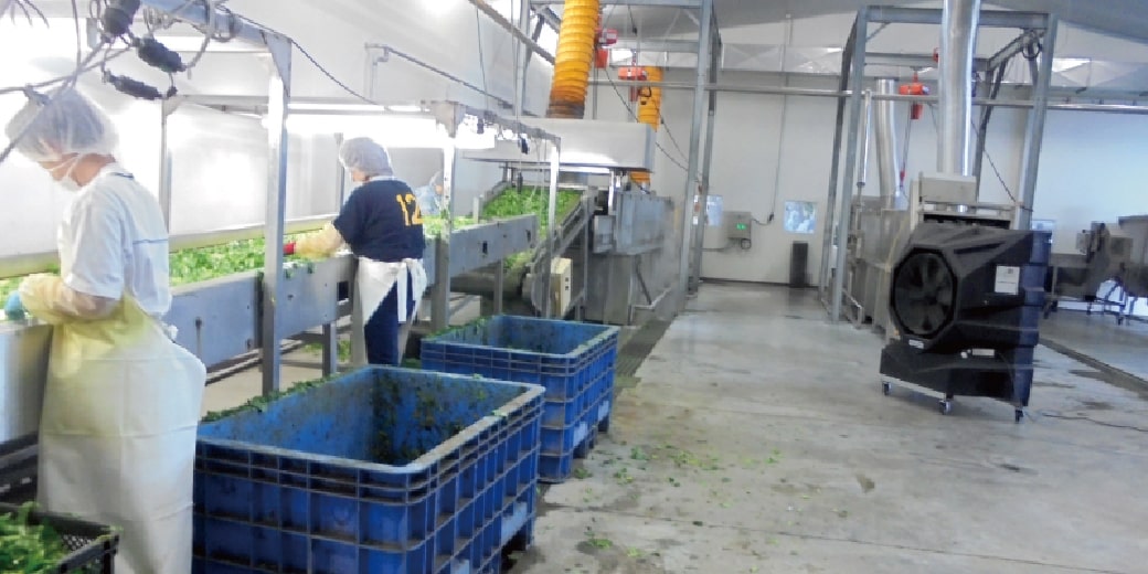 導入事例:農産物加工場 従業員の作業環境を改善